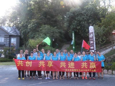 森（sēn）維（wéi）電子-團隊合作