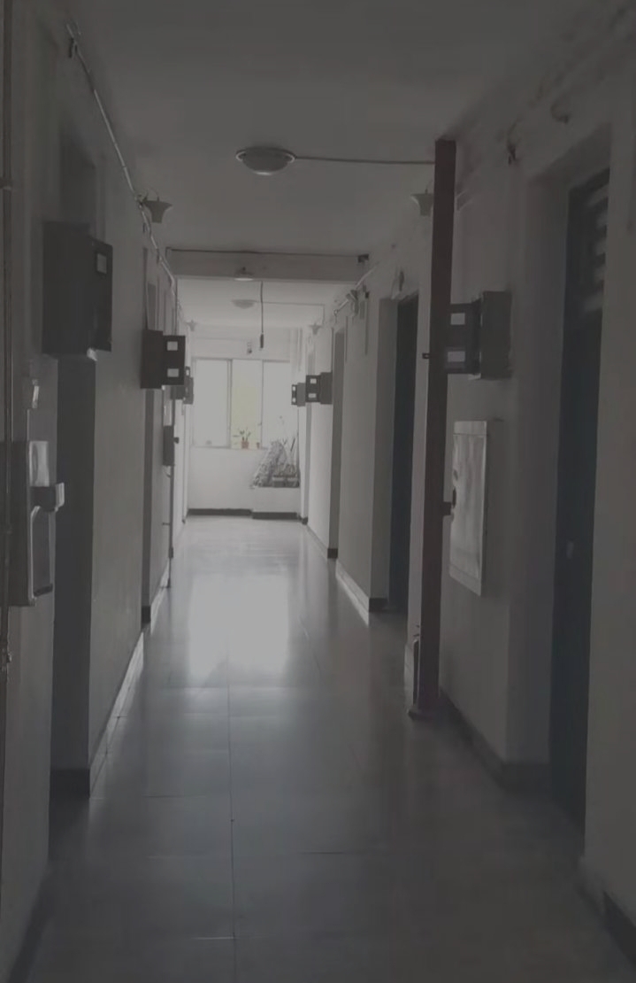 江蘇青青草视频(wéi)案(àn)例實景圖 江蘇森(sēn)維案例實景圖